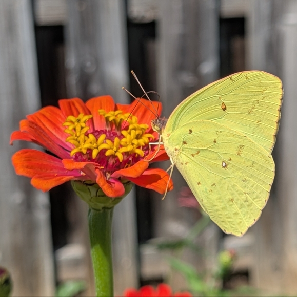 Prepping to be a Single Mom - Picture 1 of 1